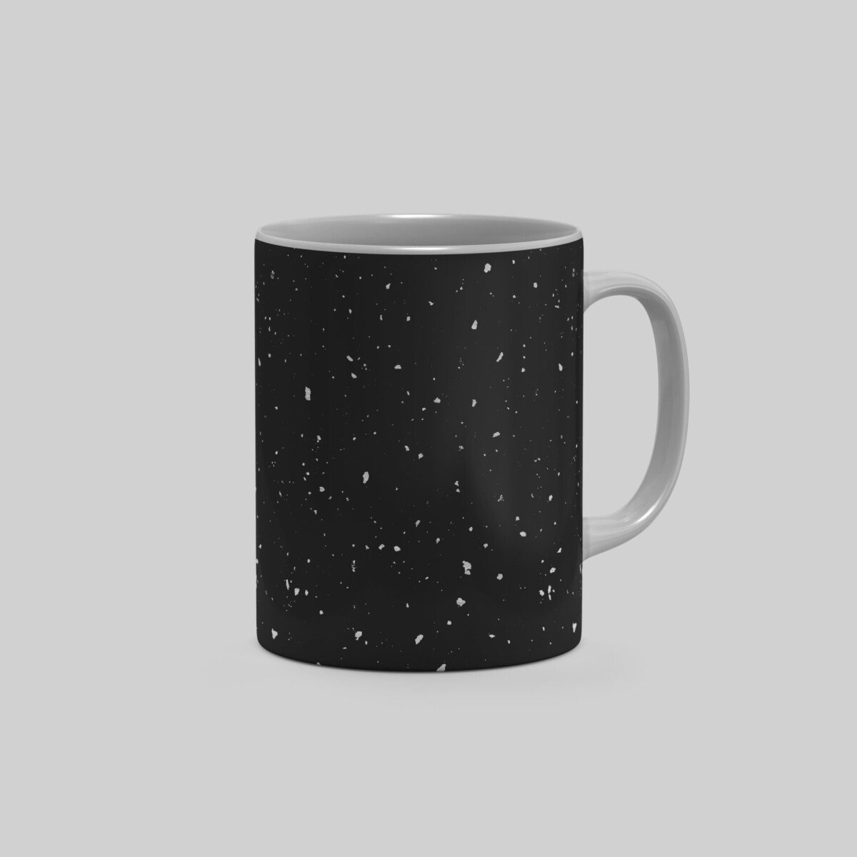 fleck_2_color_silver_mug
