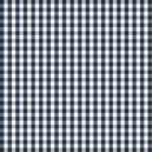 gingham_dots_stitches_gingham_3