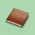 mendoza_brush_clr_ book